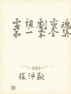 电视剧灵魂摆渡第一季全集免费播放