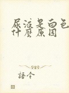 尿液是白色的是什么原因