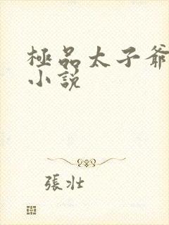 极品太子爷唐生小说