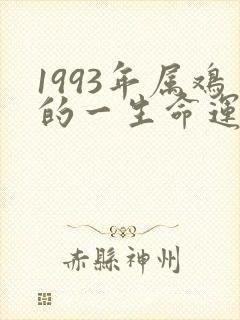 1993年属鸡的一生命运女