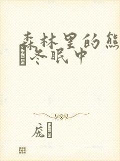 森林里的熊先生·冬眠中封面