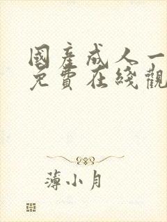 国产成人一级片免费在线观看