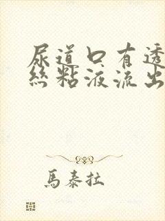 尿道口有透明拉丝粘液流出怎么了