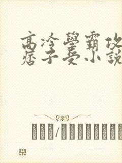 高冷学霸攻校霸痞子受小说