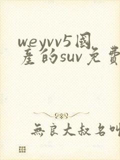 weyvv5国产的suv免费封面