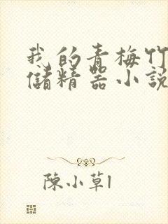 我的青梅竹马是储精器小说