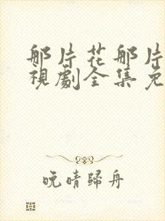 那片花那片海电视剧全集免费观看封面