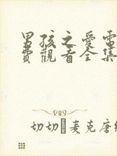 男孩之爱电影免费观看全集封面