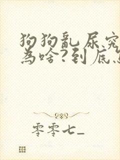 狗狗乱尿究竟是为啥?到底怎么办?