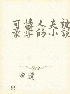 可怜人夫被强取豪夺的小说封面