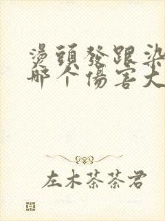 烫头发跟染头发哪个伤害大