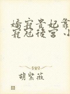 娇宠贵妃靠摆烂宠冠后宫 小说封面