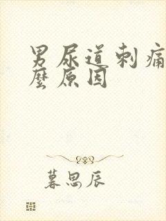 男尿道刺痛是什么原因