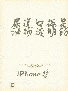 尿道口总是有分泌物透明的