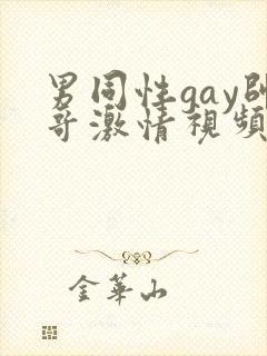 男同性gay帅哥激情视频
