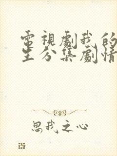 电视剧我的后半生分集剧情介绍