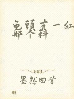 龟头有一红点挂哪个科封面