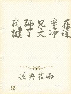 我师兄实在太稳健了文净道人结局