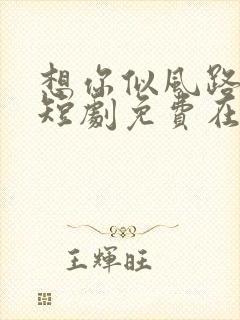 想你似风路过我短剧免费在线观看封面