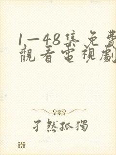 1—48集免费观看电视剧封面