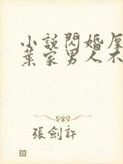 小说闪婚厚爱:叶家男人不离婚免费看封面