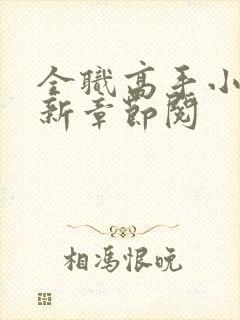 全职高手小说最新章节阅