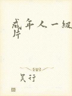 成年人一级黄色片