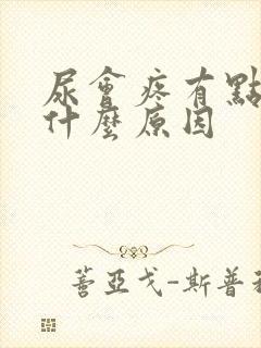 尿会疼有点带血什么原因