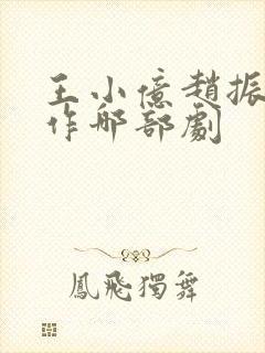 王小亿赵振栋合作哪部剧