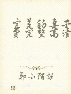 完美的妻子5免费完整高清韩剧在线观看