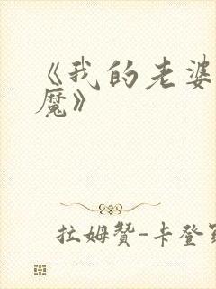 《我的老婆是魅魔》