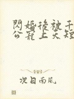 闪婚后被千亿老公宠上天短剧全集观看