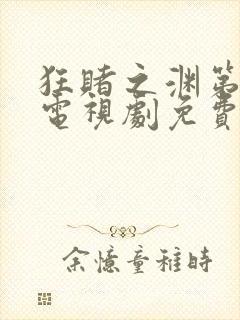 狂赌之渊第一季电视剧免费观看