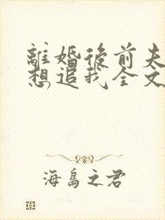 离婚后前夫总是想追我全文免费阅读封面