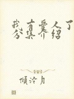 我有爱人了剧情分集介绍