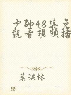 少帅48集免费观看视频播放