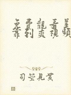 免费观看美女被靠到爽视频