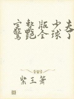 完整版少夫人她惊艳全球了