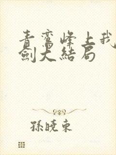 青鸾峰上我有一剑大结局封面