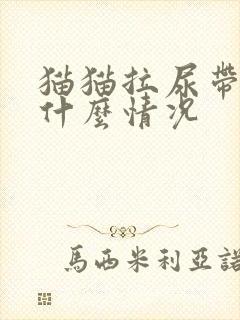 猫猫拉尿带血是什么情况