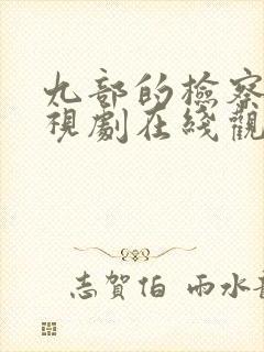 九部的检察官电视剧在线观看免费版