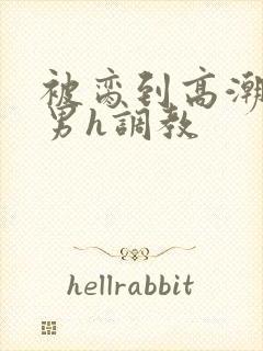 被脔到高潮的直男h调教封面