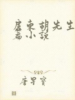 房东胡先生番外篇小说