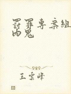 罚罪专案组谁是内鬼