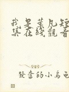 我是叶凡短剧全集在线观看封面