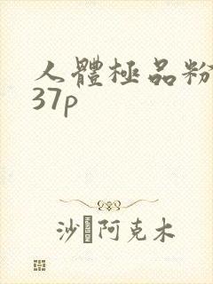 人体极品粉嫩337p