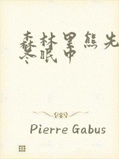 森林里熊先生在冬眠中