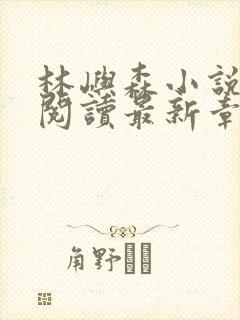 林屿森小说免费阅读最新章节封面