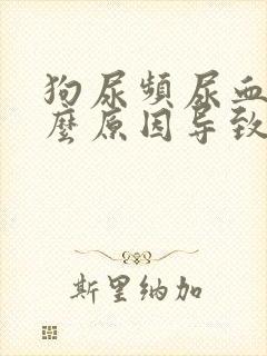 狗尿频尿血是什么原因导致的