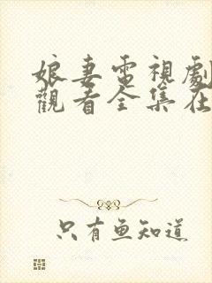 娘妻电视剧免费观看全集在线观看